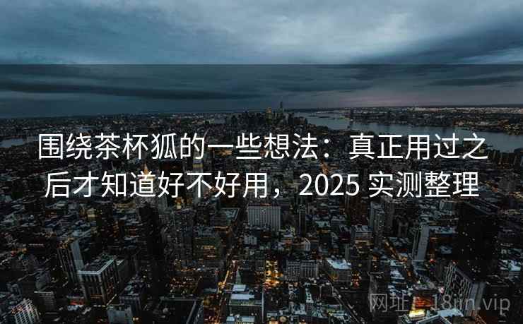 围绕茶杯狐的一些想法：真正用过之后才知道好不好用，2025 实测整理