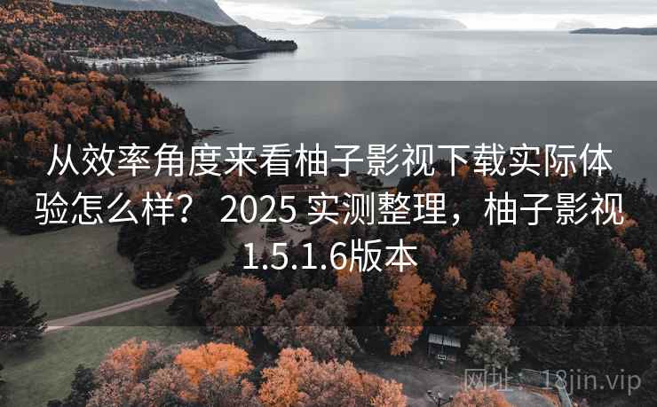 从效率角度来看柚子影视下载实际体验怎么样？ 2025 实测整理，柚子影视1.5.1.6版本