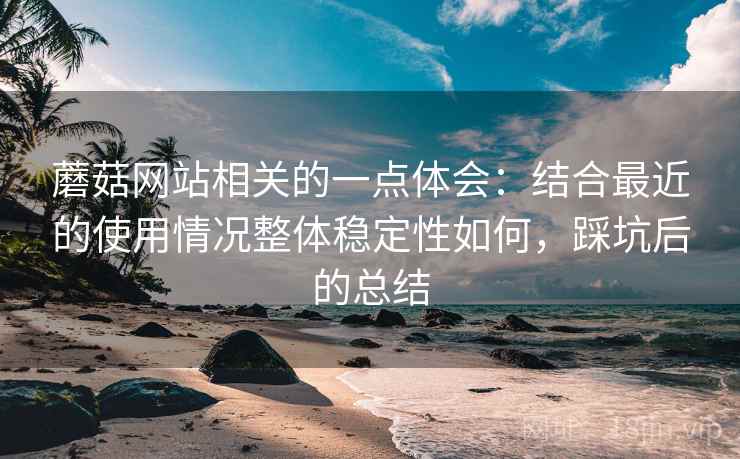 蘑菇网站相关的一点体会：结合最近的使用情况整体稳定性如何，踩坑后的总结