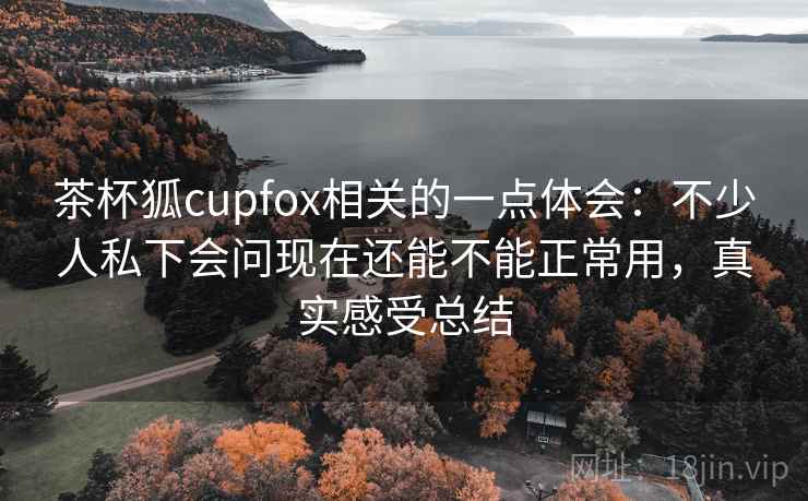 茶杯狐cupfox相关的一点体会：不少人私下会问现在还能不能正常用，真实感受总结
